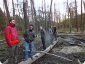Visegrad-Projekt c Buerger K